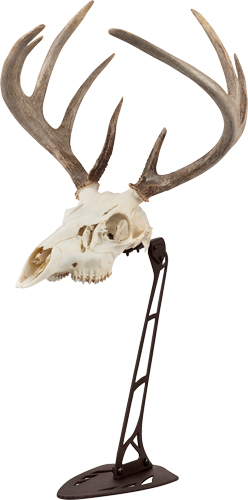 ALLEN EZ MOUNT CENTERPIECE