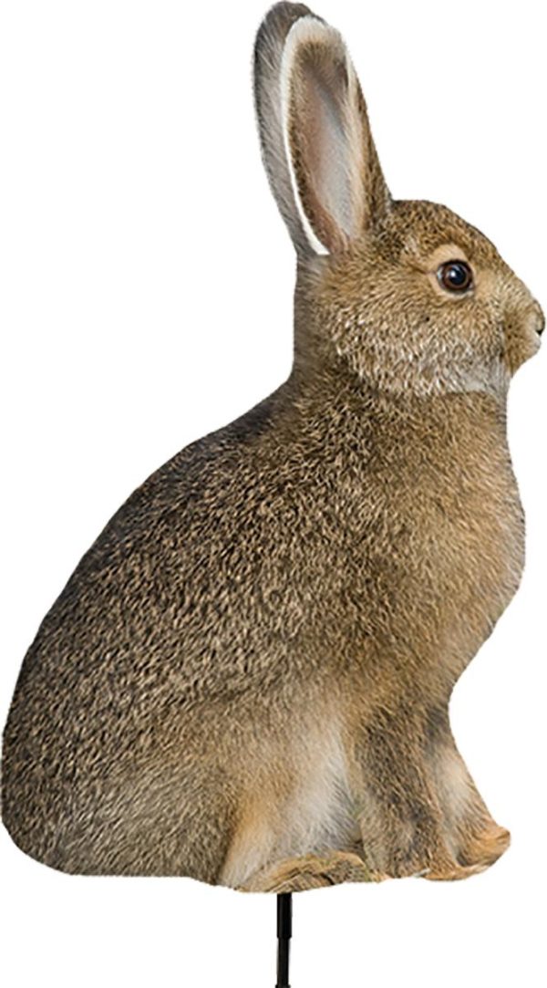 Montana Decoy Co Miss Hoptober Decoy