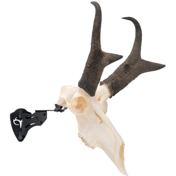 Allen EZ Mount Skull Stand Deer Size - Image 2