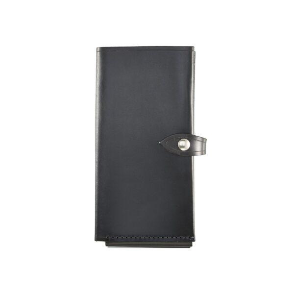Double Citation Book Cover