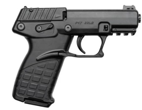 P17 .22 LR 3.8" Black 10-rd