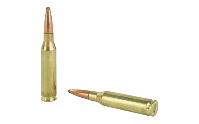 REM21292_4.jpg