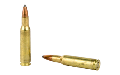 REM21303_4.jpg