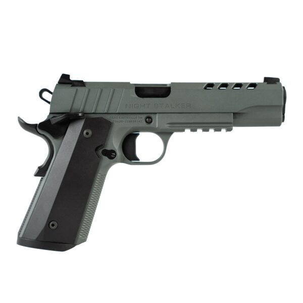 Tisas 1911 Night Stalker 10mm Gray