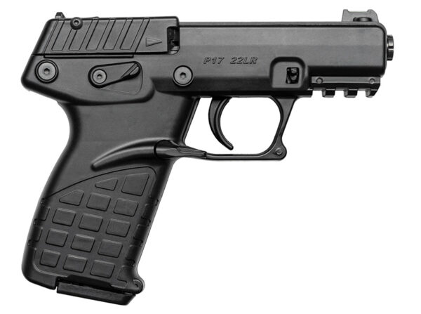 P17 22LR 3.93" Black 16rd