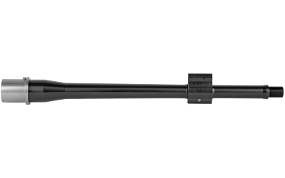 BABL556026F_3.jpg