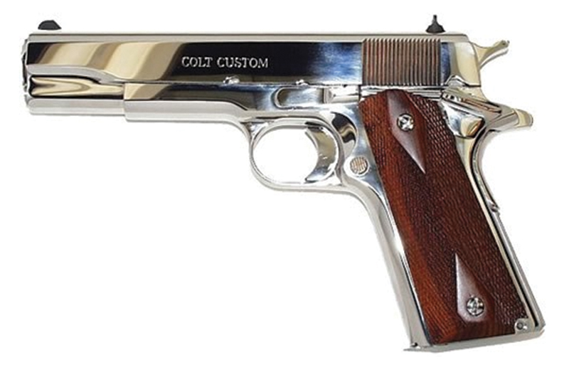 Government 45ACP 5" Bright SS FXD 7rd