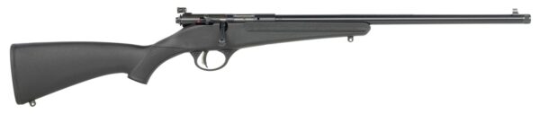 Savage Arms  Rascal F-SR 22 LR 1rd 16.13" Matte Black Single Shot Threaded Barrel, Black Synthetic Stock, Left Hand