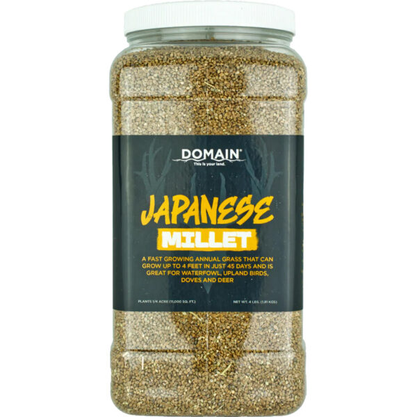Domain Japanese Millet Seed 1/4 Acre