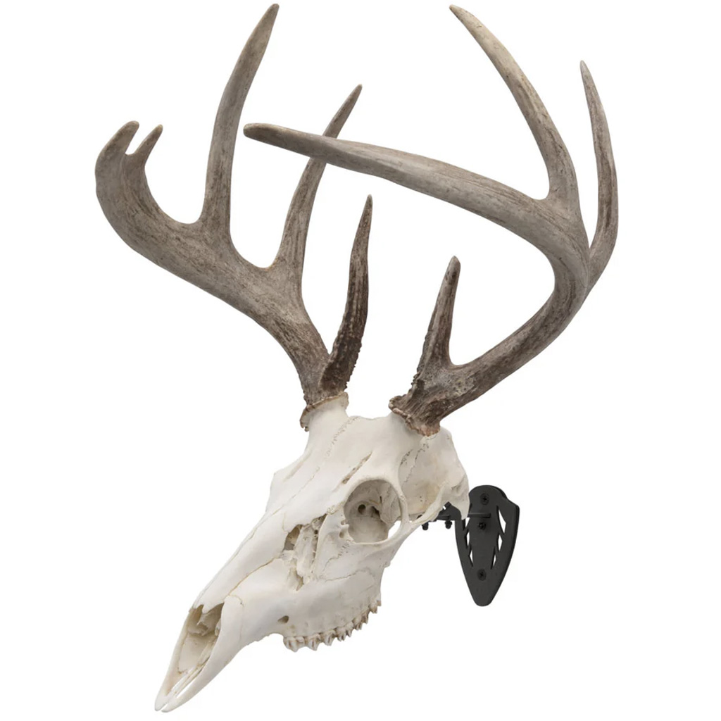 Allen Ez Mount Skull Hanger Black
