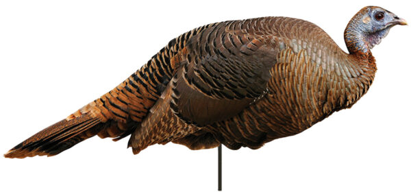 MONTANA DECOY TKY SPRING FLING HEN 2D