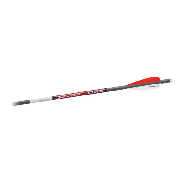 Bloodsport Witness Crossbow Bolt 22" 300 Spine 6/ct