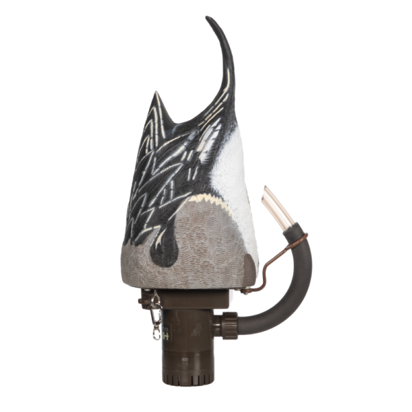 Higdon Motion Pulsator PRO Pintail