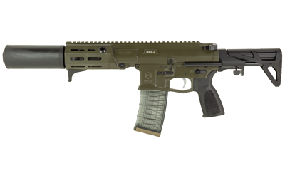 Maxim PDX-SD 300 BLK 5.5" SBR 20-Round OD