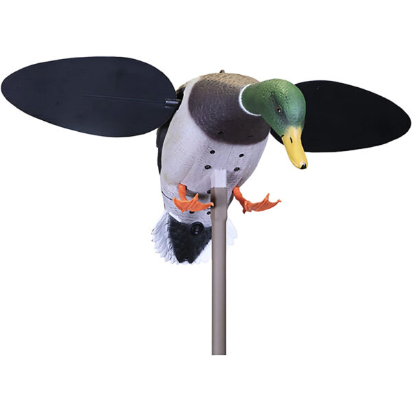 Mojo Baby Drake 2.0 Decoy