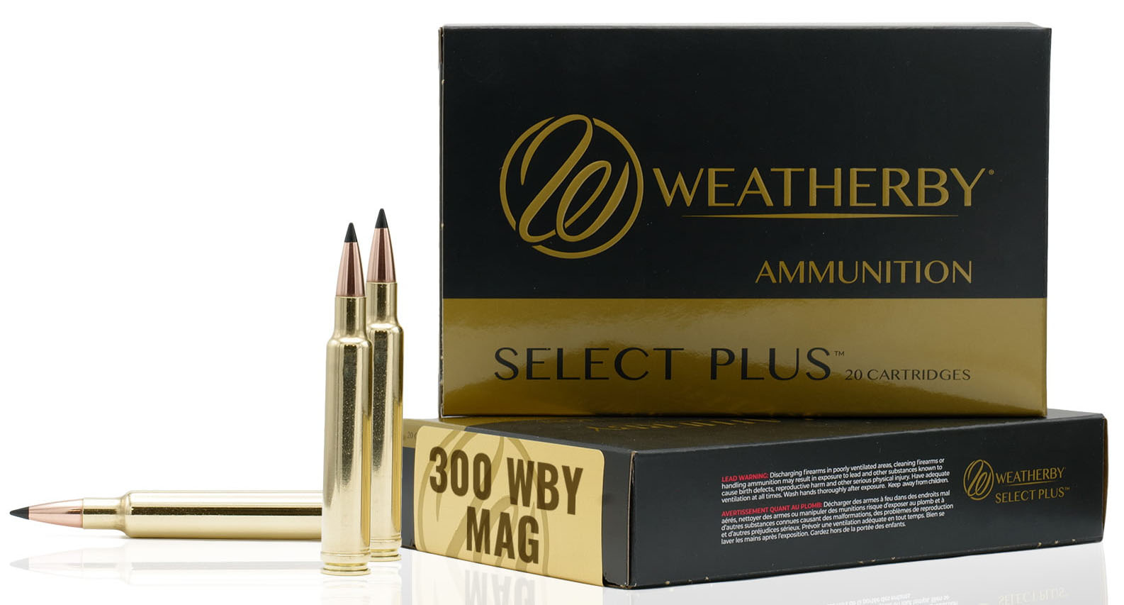 Weatherby 300 WBY 180GR TGK Ammunition - 20 Rounds