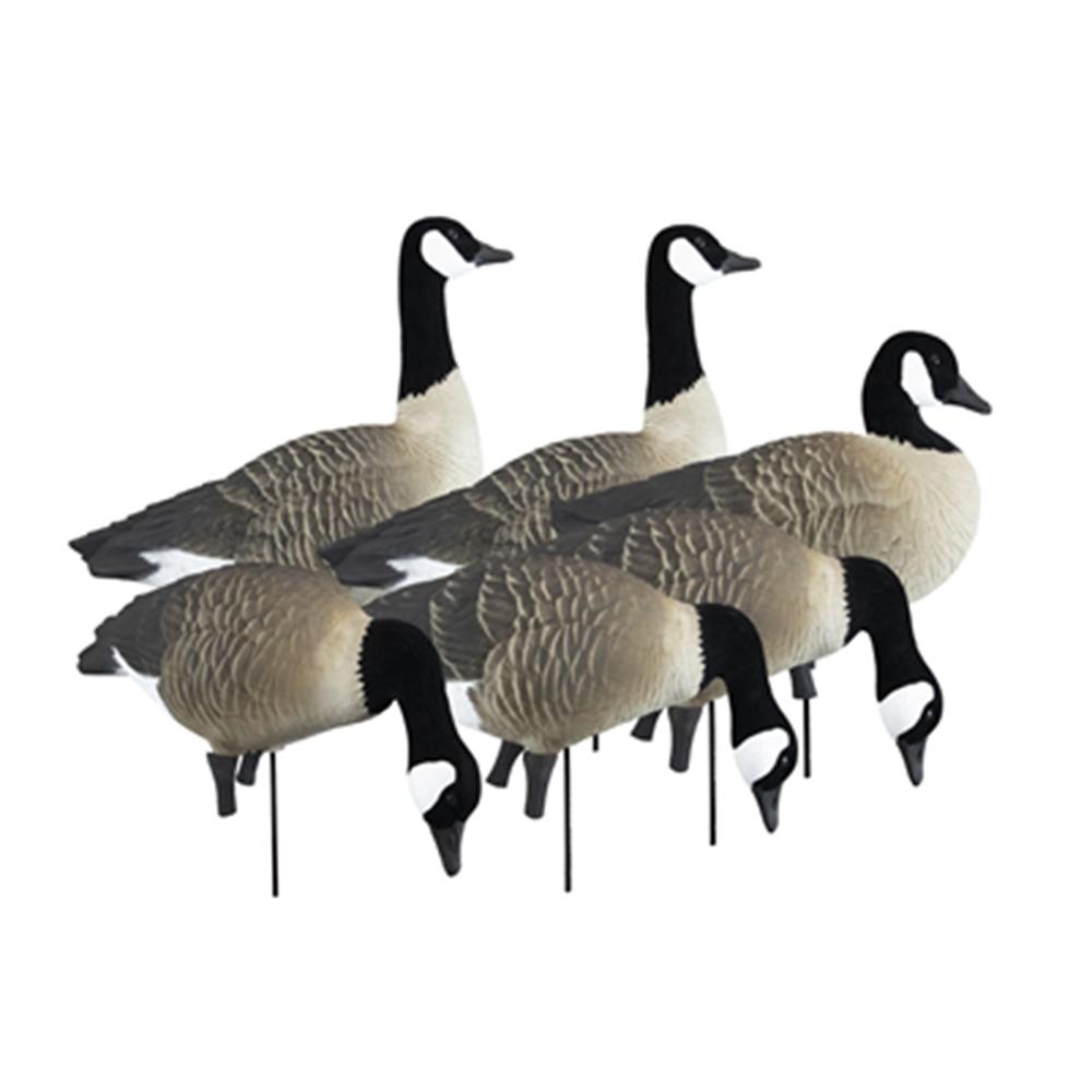 Higdon Outdoors APEX Full-Size Canada Goose Decoy Variety Pack