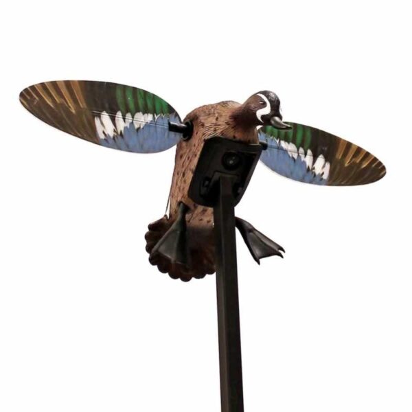 MOJO Elite Series Blue Wing Teal Spinning Wing Decoy