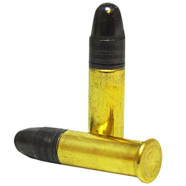 SK Standard Plus .22 LR 40gr Rimfire Ammunition – 50 Round Box