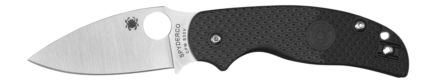 Spyderco C123PBK Sage 5 Lightweight Alzheimer's 3" Folding Plain Satin CPM S30V SS Blade, Black Textured FRN Handle