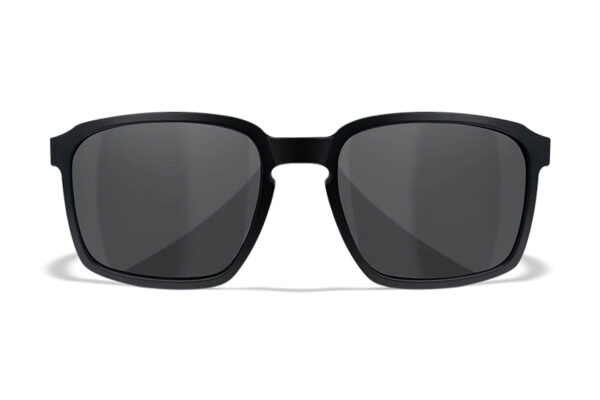 Wiley X AC6ALF02 Alfa  M/L Smoke Gray Lens Polycarbonate Matte Black Frame
