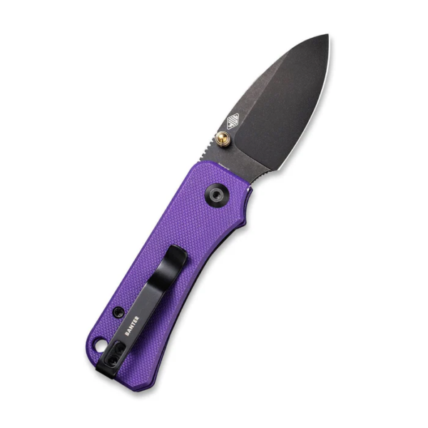 CIVIVI Baby Banter Thumb Stud Knife Purple G10 Handle 2.34" Nitro-V Blade (C19068S-4)